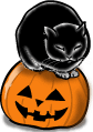 かぼちゃに乗った黒猫